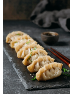 Japanese Style Dumplings