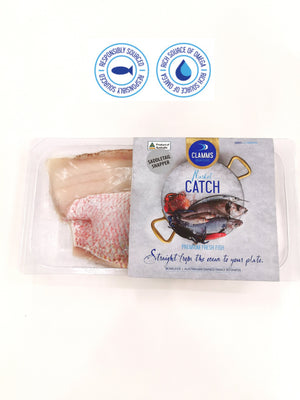 Australian Wild Saddle Tail Snapper Fillet (2-3 pcs)